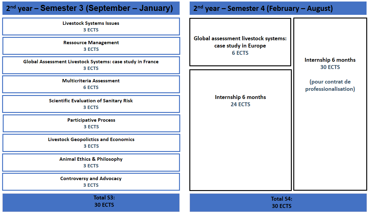 Master program year 2